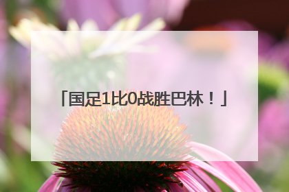 国足1比0战胜巴林！