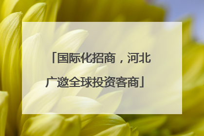 国际化招商，河北广邀全球投资客商