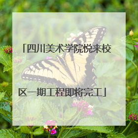 四川美术学院悦来校区一期工程即将完工