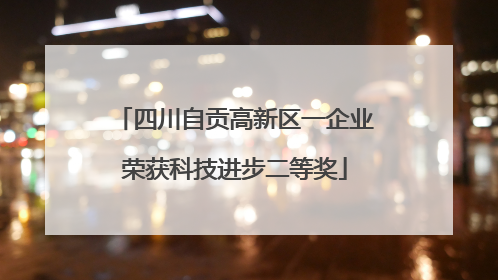 四川自贡高新区一企业荣获科技进步二等奖