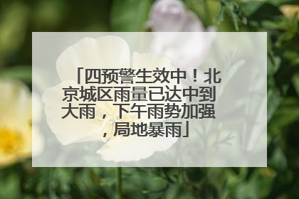 四预警生效中！北京城区雨量已达中到大雨，下午雨势加强，局地暴雨