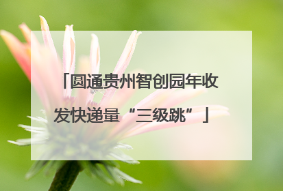 圆通贵州智创园年收发快递量“三级跳”