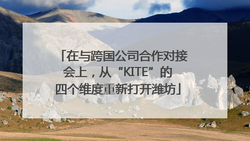 在与跨国公司合作对接会上，从“KITE”的四个维度重新打开潍坊