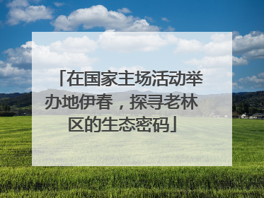 在国家主场活动举办地伊春，探寻老林区的生态密码