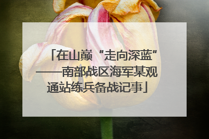在山巅“走向深蓝”——南部战区海军某观通站练兵备战记事