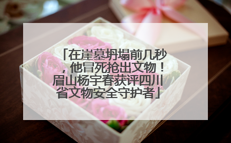 在崖墓坍塌前几秒，他冒死抢出文物！眉山杨宇春获评四川省文物安全守护者