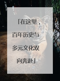 在这里，百年历史与多元文化双向奔赴