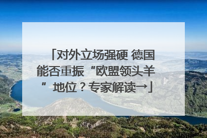 对外立场强硬 德国能否重振“欧盟领头羊”地位？专家解读→