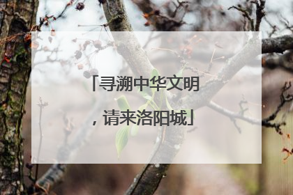 寻溯中华文明，请来洛阳城
