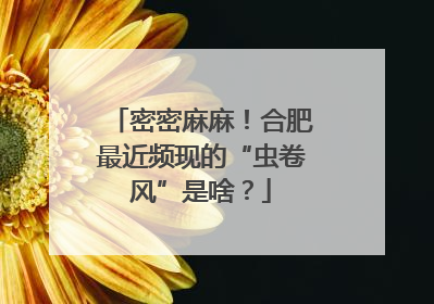 密密麻麻！合肥最近频现的“虫卷风”是啥？