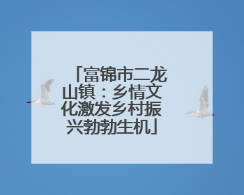 富锦市二龙山镇：乡情文化激发乡村振兴勃勃生机
