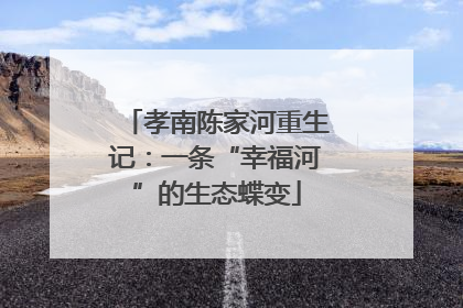 孝南陈家河重生记：一条“幸福河”的生态蝶变