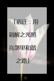 宿迁：用调解之光照亮邻里和谐之路