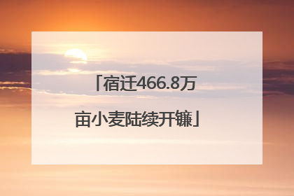 宿迁466.8万亩小麦陆续开镰