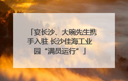 宴长沙、大碗先生携手入驻 长沙佳海工业园“满员运行”