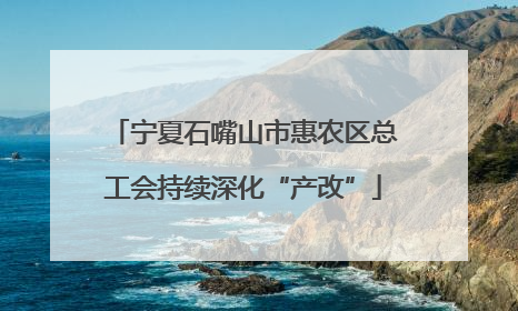 宁夏石嘴山市惠农区总工会持续深化“产改”