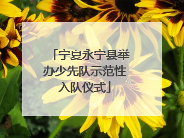 宁夏永宁县举办少先队示范性入队仪式