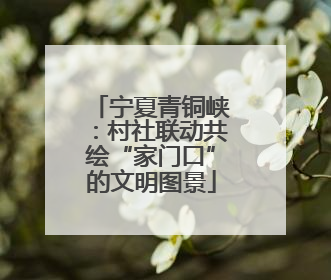 宁夏青铜峡：村社联动共绘“家门口”的文明图景