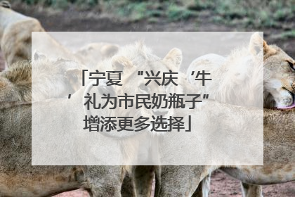 宁夏 “兴庆‘牛’礼为市民奶瓶子”增添更多选择