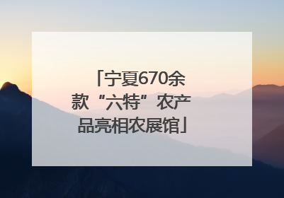 宁夏670余款“六特”农产品亮相农展馆