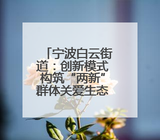 宁波白云街道：创新模式构筑“两新”群体关爱生态圈
