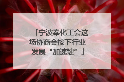 宁波奉化工会这场协商会按下行业发展“加速键”