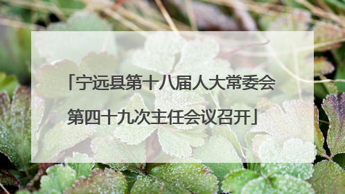 宁远县第十八届人大常委会第四十九次主任会议召开