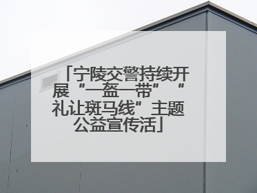 宁陵交警持续开展“一盔一带”“礼让斑马线”主题公益宣传活