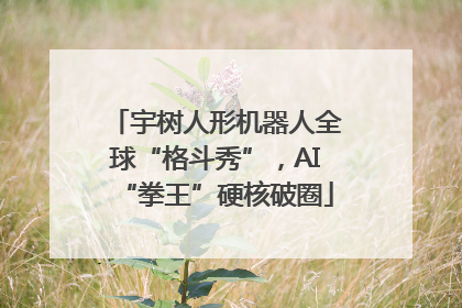 宇树人形机器人全球“格斗秀”，AI“拳王”硬核破圈