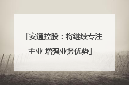 安通控股：将继续专注主业 增强业务优势
