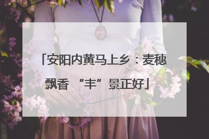 安阳内黄马上乡：麦穗飘香 “丰”景正好