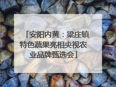 安阳内黄：梁庄镇特色蔬果亮相央视农业品牌甄选会