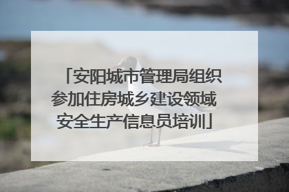 安阳城市管理局组织参加住房城乡建设领域安全生产信息员培训