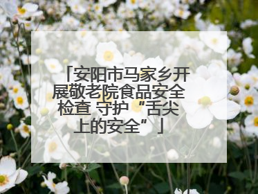 安阳市马家乡开展敬老院食品安全检查 守护“舌尖上的安全”