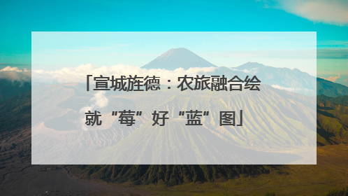 宣城旌德：农旅融合绘就“莓”好“蓝”图