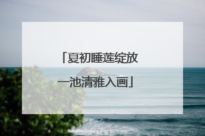 夏初睡莲绽放 一池清雅入画