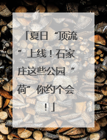 夏日“顶流”上线！石家庄这些公园“荷”你约个会！