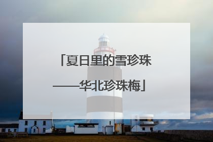 夏日里的雪珍珠——华北珍珠梅