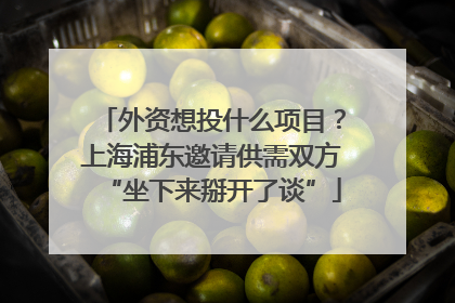 外资想投什么项目？上海浦东邀请供需双方“坐下来掰开了谈”