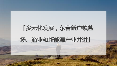 多元化发展，东营新户镇盐场、渔业和新能源产业并进