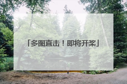 多图直击！即将开桨