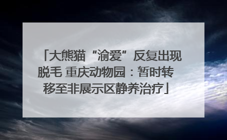 大熊猫“渝爱”反复出现脱毛 重庆动物园：暂时转移至非展示区静养治疗