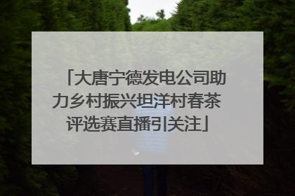大唐宁德发电公司助力乡村振兴坦洋村春茶评选赛直播引关注