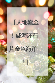 大地流金！威海还有片金色海洋！