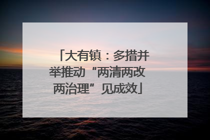 大有镇：多措并举推动“两清两改两治理”见成效