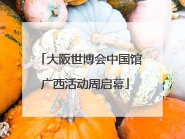 大阪世博会中国馆广西活动周启幕