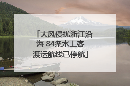 大风侵扰浙江沿海 84条水上客渡运航线已停航