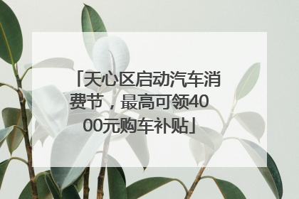 天心区启动汽车消费节，最高可领4000元购车补贴