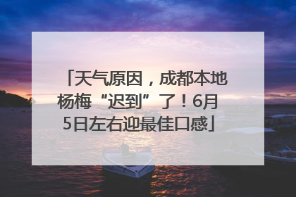 天气原因，成都本地杨梅“迟到”了！6月5日左右迎最佳口感