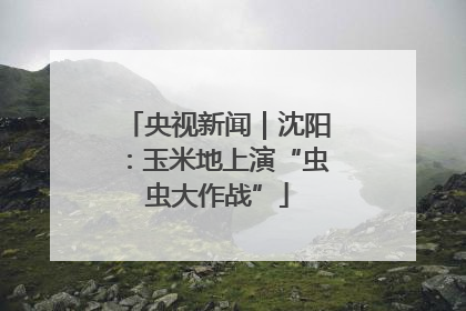 央视新闻｜沈阳：玉米地上演“虫虫大作战”